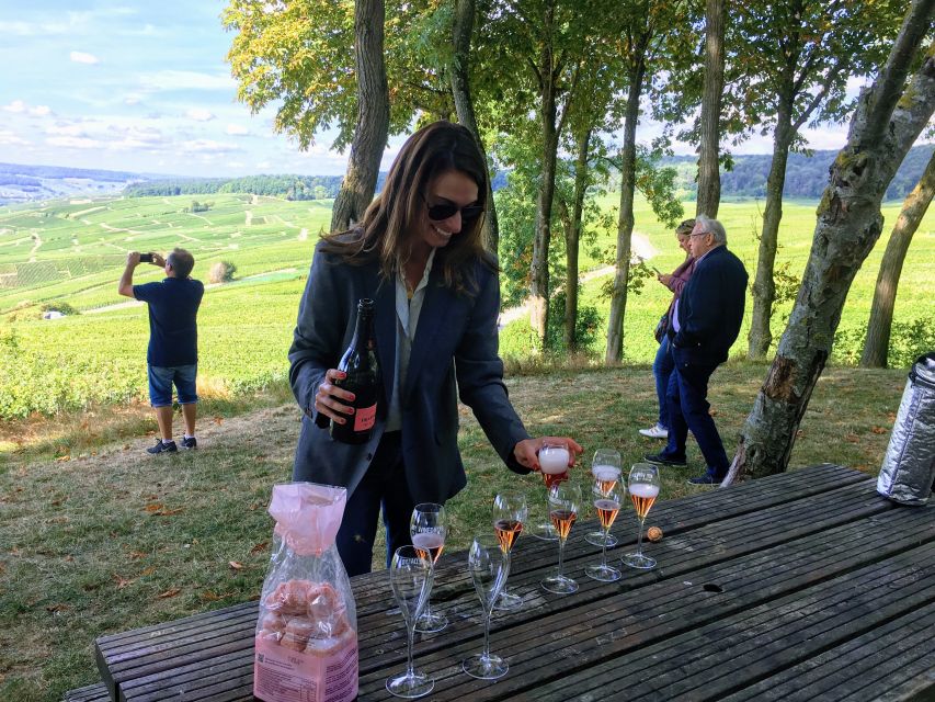 Paris: Private Day Trip to Champagne with 8 Tastings & Lunch - Champagne houses and why you want variety, not just one logo