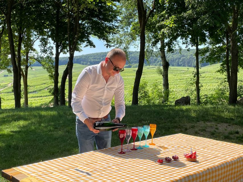 Paris: Private Epernay Trip with Champagne Vineyard Tastings - What up to 7 tastings teaches you (without getting too nerdy)