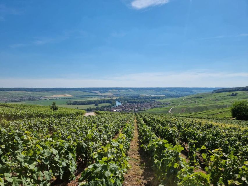 Paris: Private Epernay Trip with Champagne Vineyard Tastings - The drive: what you learn before you ever see a vineyard