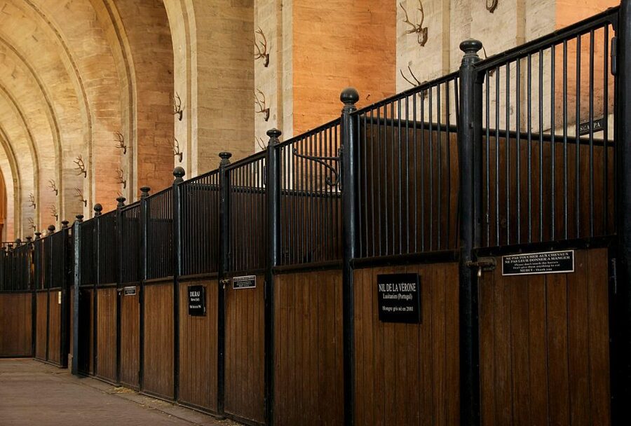 Paris: Private Tour of Domaine de Chantilly Ticket&Transfer - Should you book? My practical take