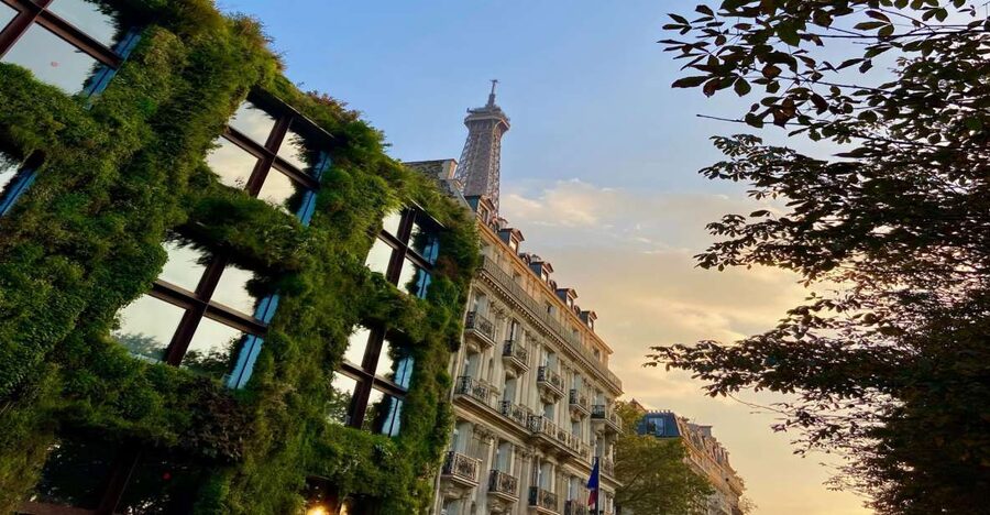 Paris: Quai Branly Museum Ticket & Optional Seine Cruise - Key points that make this combo worth your time