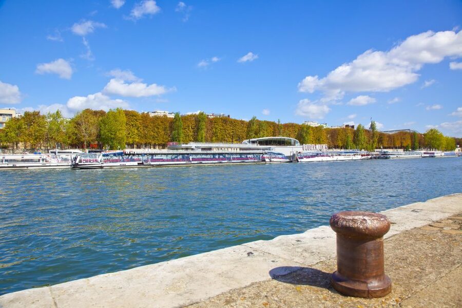 Paris: Sightseeing Cruise on the Seine with 3-Course Lunch - The Onboard Atmosphere, Live Music, and Family-Friendly Pace