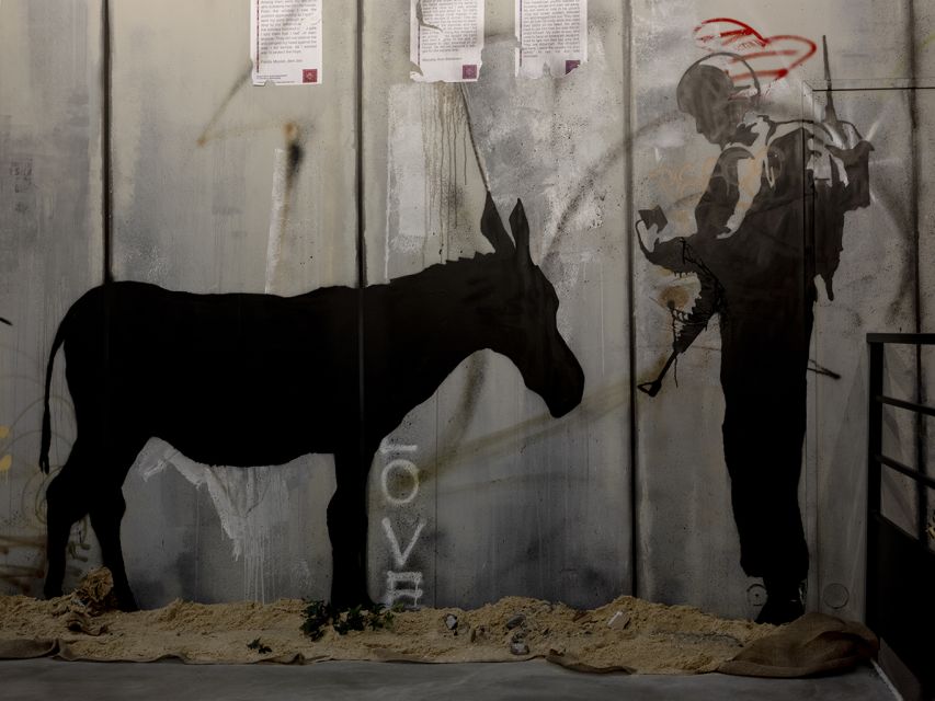 Paris: "The World of Banksy" Musée Banksy Entry Ticket - Who should book this ticket, and who might pass