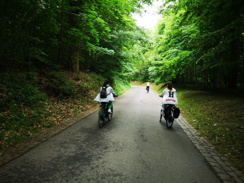 Paris: Versailles Palace and Queen Hamlet E-Bike Tour - Marnes-la-Coquette and the Fausses-Reposes forest ride