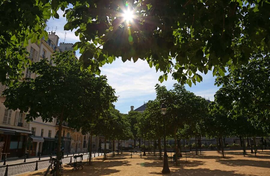Paris: Walking Tour with Notre Dame or Ste-Chapelle Access - Price and value: why $20 can feel like more than it sounds