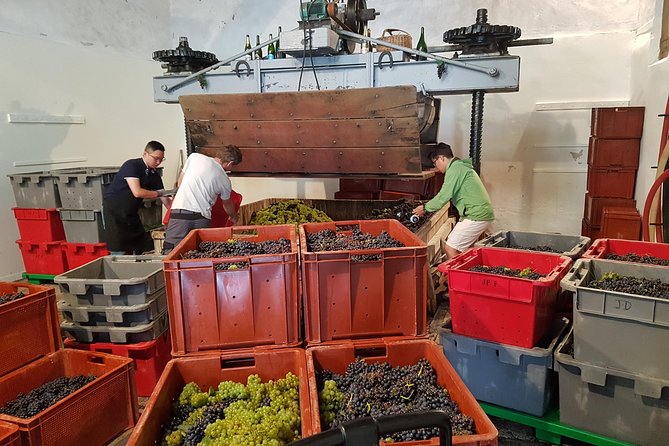 Paris Wine Day Tours exclusive Champagne tour incl. 3 visits - Reims Cathedral, a top Champagne house stop, and a true 3-course lunch