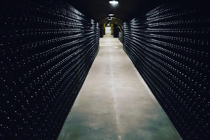 Paris Wine Day Tours exclusive Champagne tour incl. 3 visits - Hautvillers, Dom Perignon, and meeting a family-run house