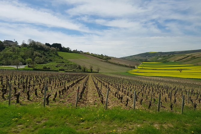 Paris Wine Day Tours exclusive wine tour in the Sancerre area - Key things to know before you go