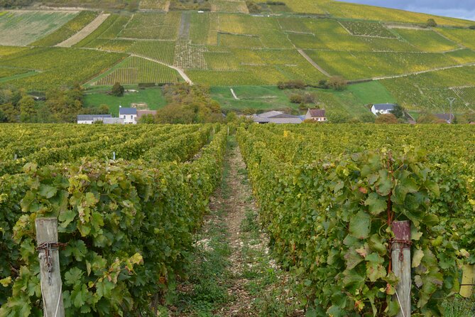 Paris Wine Day Tours exclusive wine tour in the Sancerre area - Why Sancerre and Pouilly makes sense as a one-day plan