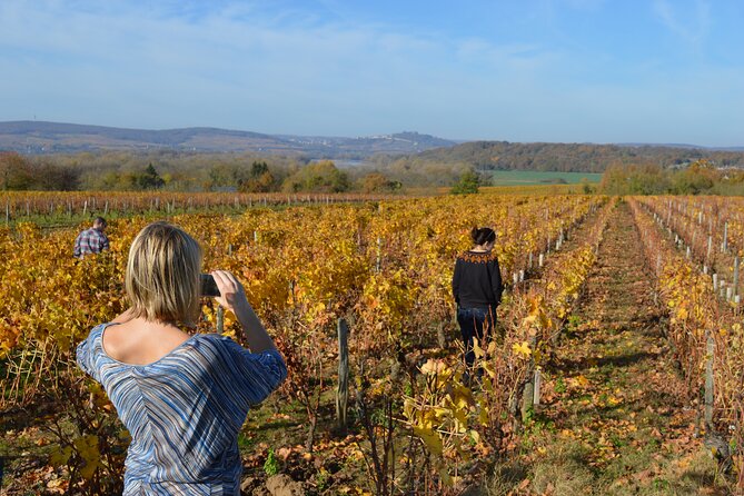 Paris Wine Day Tours exclusive wine tour in the Sancerre area - Stop 1: Sancerre village, two winemakers, and walking the vines