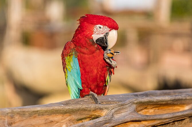 Parrot World Immersive Wildlife Park Entry Ticket next to Paris - Entering Parrot World’s tropical South American vibe