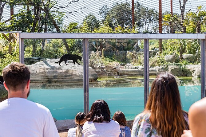 Parrot World Immersive Wildlife Park Entry Ticket next to Paris - Family time: giant playground, picnic area, and restaurants