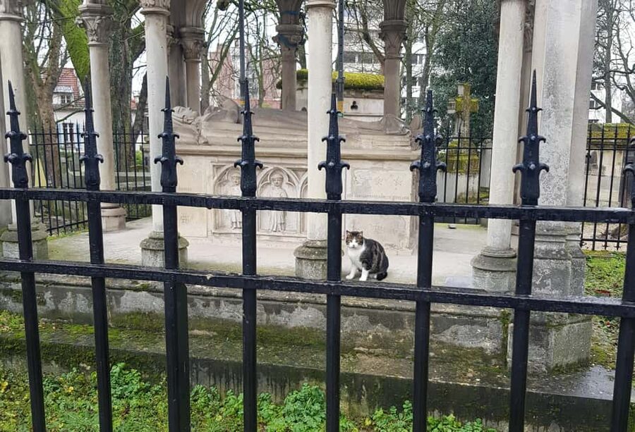 Père-Lachaise : histoires et mystères contés par un comédien - Price value: is $29 a good deal for a 2-hour actor tour?