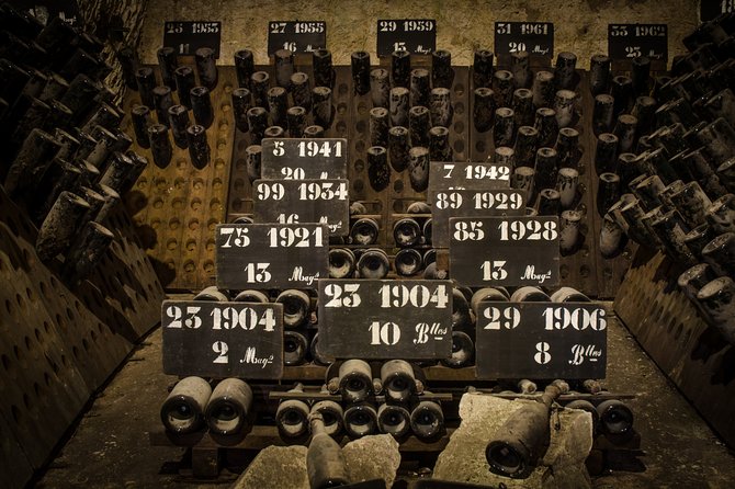 Private Champagne Day Trip - Two Vineyards of Reims & Lunch - Cathedral of Notre-Dame of Reims: What You’ll Get in the Guided Visit