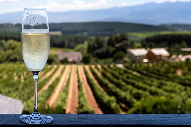 Private Champagne Day Trip - Two Vineyards of Reims & Lunch - Getting From Paris to Reims Without the Headache at Gare de lEst