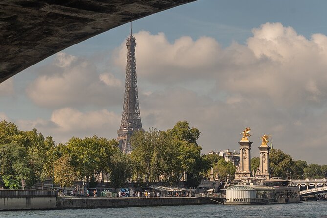 Private Cruise to Discover Paris - When you should think twice, especially about mobility