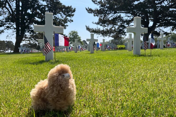 Private Guided Mont Saint Michel & D-day tour from Paris - Normandy American Cemetery: where the names stay with you