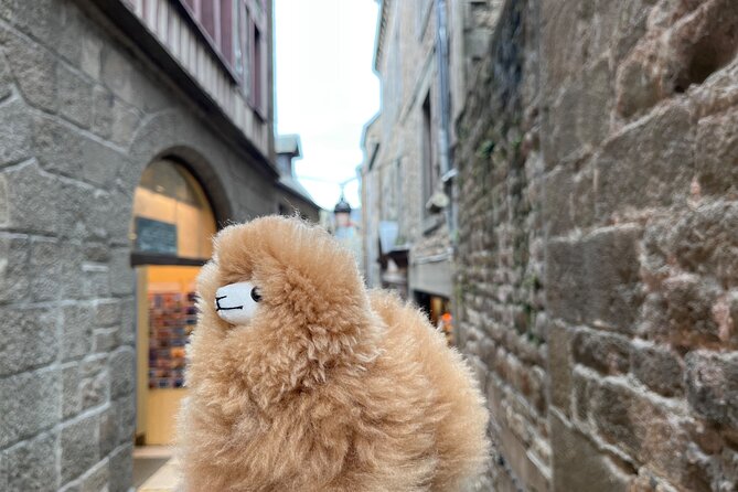 Private Guided Mont Saint Michel & D-day tour from Paris - Pace, timing, and what you might want to adjust