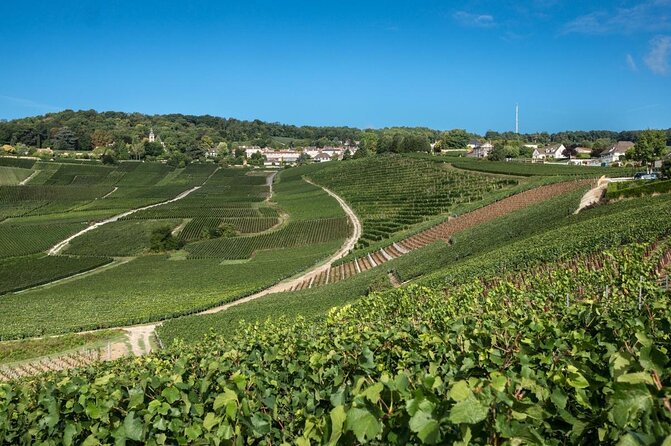 Private Guided Tour in Champagne from Paris with Moet&Chandon visit. - Key things that make this Champagne tour stand out