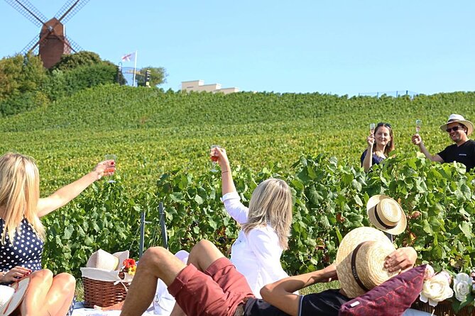 Private Guided Tour in Champagne from Paris with Moet&Chandon visit. - Price and Logistics: what you’re paying for, and why it can still feel worth it
