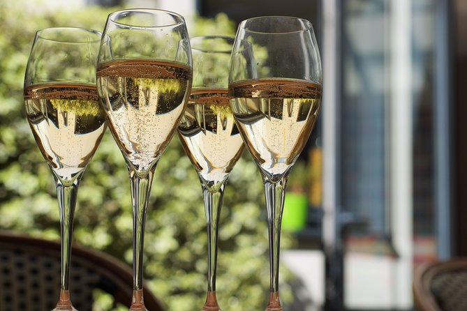 Private Guided Tour in Champagne from Paris with Moet&Chandon visit. - Chatillon-sur-Marne: an independent winemaker and a tasting that teaches