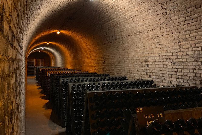 Private Guided Tour in Champagne from Paris with Moet&Chandon visit. - Epernay and Avenue de Champagne: the classic Champagne corridor on foot