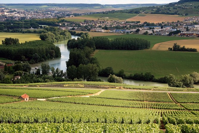 Private Guided Tour in Champagne from Paris with Moet&Chandon visit. - Morning departure from Paris: getting Champagne context before you arrive