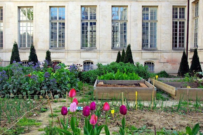 Private Half Day Historic Tour - Latin Quarter streets and Place Saint-Michel: the medieval-to-modern contrast