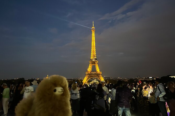 Private Paris City Night Sightseeing Tour - Why a private night route beats “wing it”
