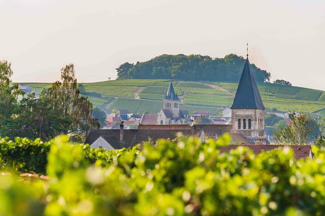 Private tour of the Champagne area, meet local producers and taste their Champagne, start from your hotel in Paris. - Leaving Paris for Épernay and the Marne Valley in an air-conditioned car