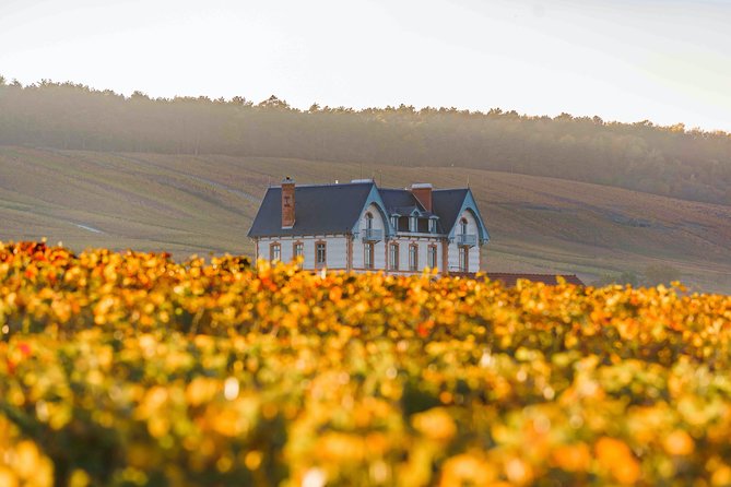 Private tour of the Champagne area, meet local producers and taste their Champagne, start from your hotel in Paris. - Hautvillers abbey and Dom Pérignon’s starting point for Champagne