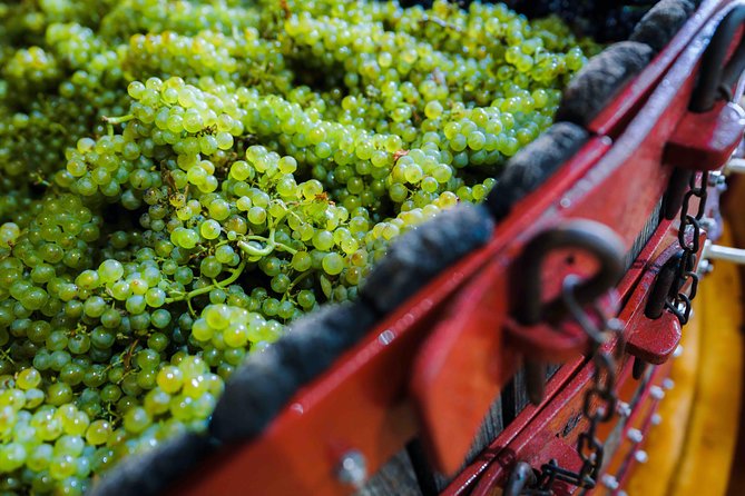 Private tour of the Champagne area, meet local producers and taste their Champagne, start from your hotel in Paris. - Price and logistics: what $1,003.22 per person actually buys you
