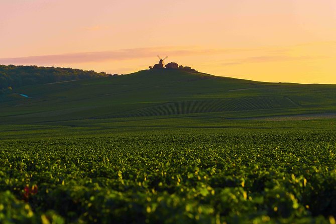 Private tour of the Champagne area, meet local producers and taste their Champagne, start from your hotel in Paris. - Avenue de Champagne cellars: skip-the-line tastings and the maisons you might meet