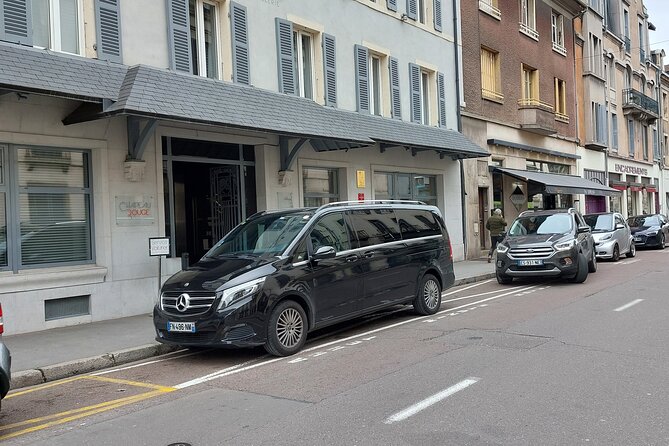 Private transfer from CDG or ORY airport to DisneyLand Paris - Practical Tips That Make This Ride Feel Effortless