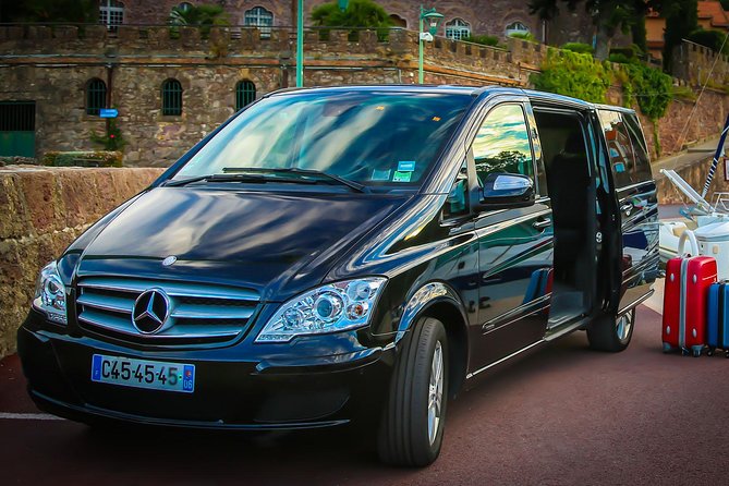 Private Transfer from Paris to Disneyland (One way) - Key things I’d focus on before you book