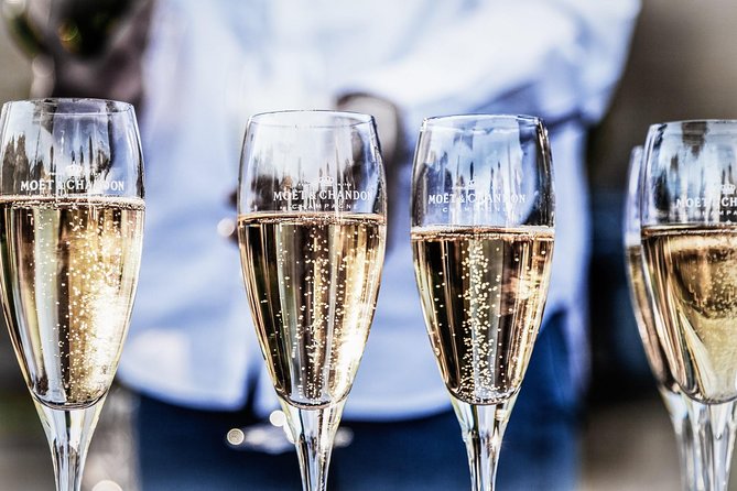 Private Trip: Tour in Epernay & Champagne Tastings from Paris - Vineyard stop with workers: where facts meet real production