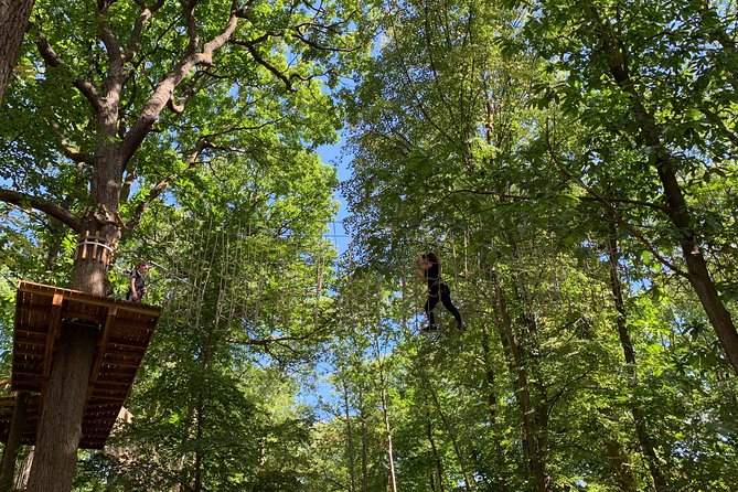 Tree Top Adventure in Forest of Meudon - Key highlights to know before you go