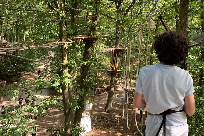 Tree Top Adventure in Forest of Meudon - Tree Top Adventure in the Forest of Meudon: what this is really like