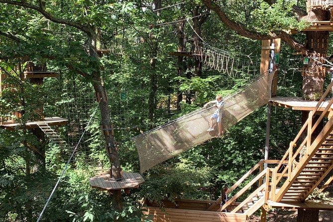 Tree Top Adventure in Forest of Meudon - Safety system: why the lifeline matters for first-timers