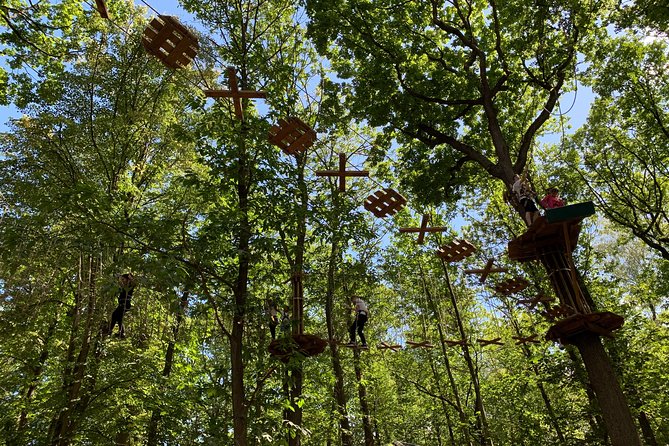 Tree Top Adventure in Forest of Meudon - Who this fits best (and who may want a different plan)