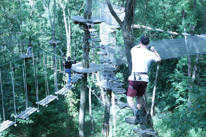 Tree Top Adventure in Rueil-Malmaison - Key highlights worth planning around