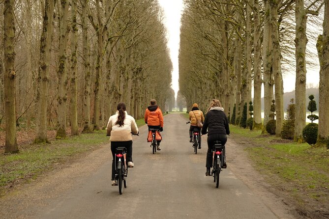 Versailles Bike Tour - Stop 1: Palace of Versailles exterior, Louis XIV, and the square beneath you