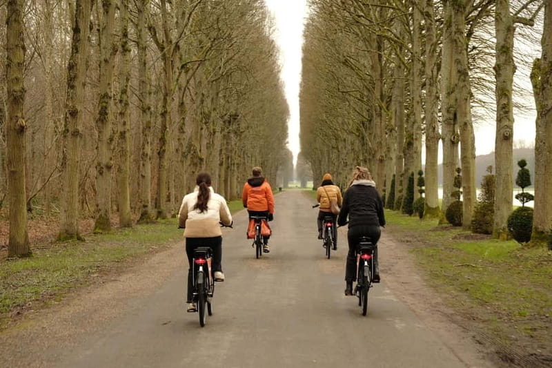 Versailles: Bike Tour on a premium Dutch bike - How much is it, and is it good value for $46