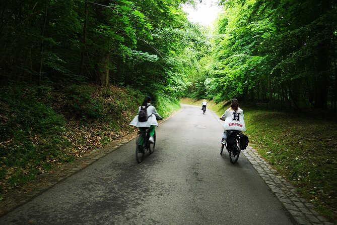 Versailles Full-Day Electric Bike Tour : Market, Picnic & Palace - Meeting at 167 Rue St Charles, 8:30 am to Versailles