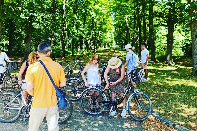 Versailles Golfcart & Bike Guided Tour: Gardens Hamlet Fountains - Stop 5: Palace of Versailles at the end, timed entry, self-guided interior