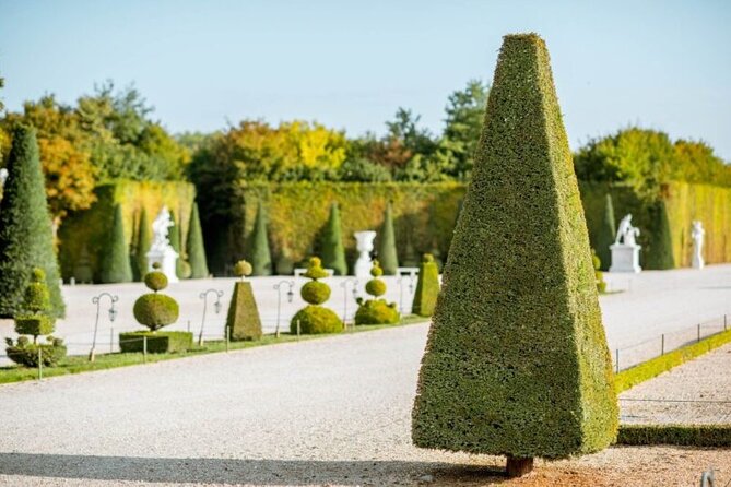 Versailles Royal Palace & Gardens with Exclusive Petit Apartments - Stop 3: La Galerie des Glaces and the special access to private rooms