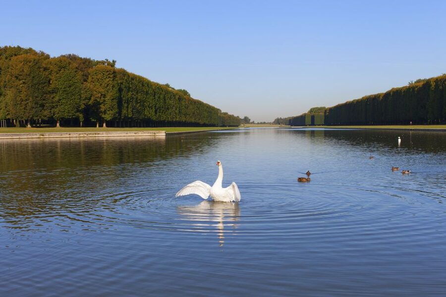 Versailles: Skip-the-Line Guided Tour of Palace with Gardens - Should you book this Versailles skip-the-line tour?