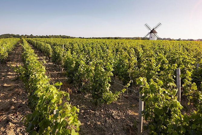 Wine tasting tour in Loire Valley with castle visits and lunch - Price and Value: What You Get for $335.97, and What Costs Extra