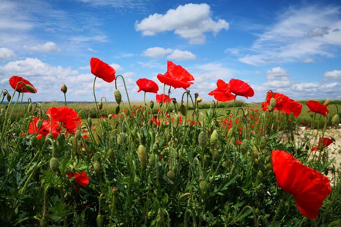 WW1 Australians in the Somme -Villers Bretonneux, Le Hamel - Day trip from Paris - Stop 4: Windmill Memorial at Pozières (Charles Bean’s “soil” moment)