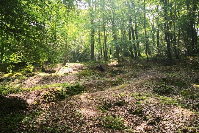 WW1 Belleau Wood and American Monument in Château-Thierry - Day trip from Paris - Stop 6: Musée de la Grande Guerre in Meaux and Why the Objects Matter